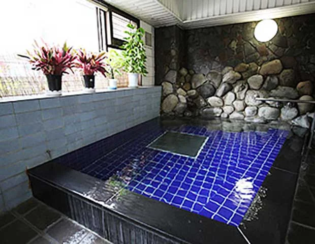 旅館 天龍閣(閉館しました)