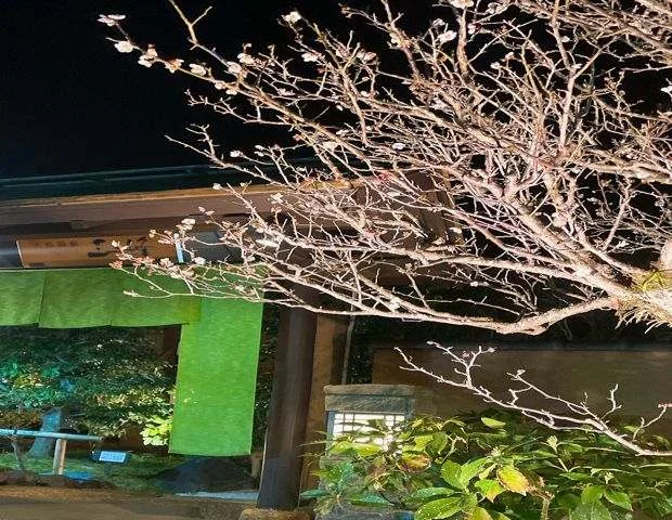 天然温泉 三峰（みつみね）