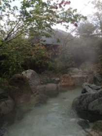 秘湯の宿 神明温泉 湯元 すぎ嶋