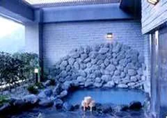Hotel de Marronnier Gero Onsen - Gifu