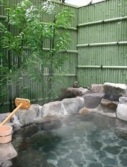 Onsen Ryokan Hiroshi - Gifu