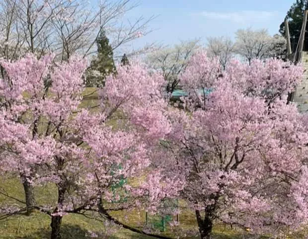 うすずみ温泉 四季彩館