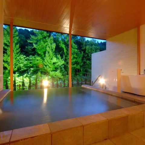 Takayama Ryujin Onsen Ryujin Resort & Spa - Gifu