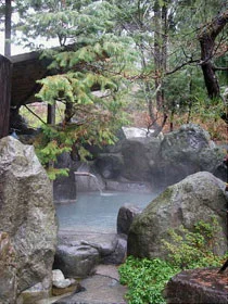 中崎山荘 奥飛騨の湯