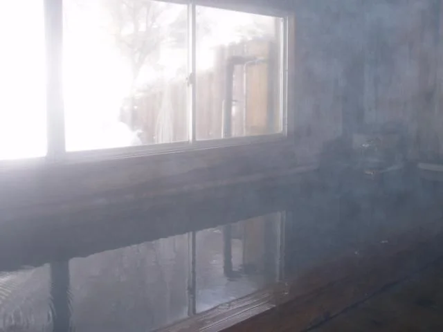 中崎山荘 奥飛騨の湯
