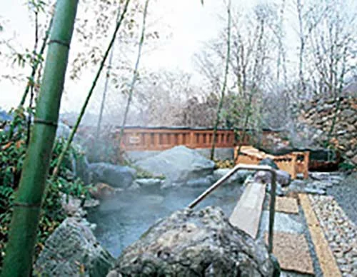 おおがわら天然温泉 いい湯