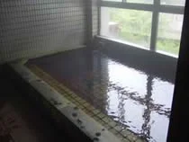 新穂高アルペン浴場(閉館しました)