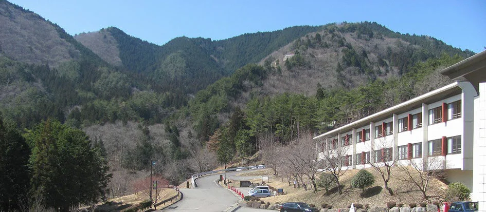 トップメイン画像1