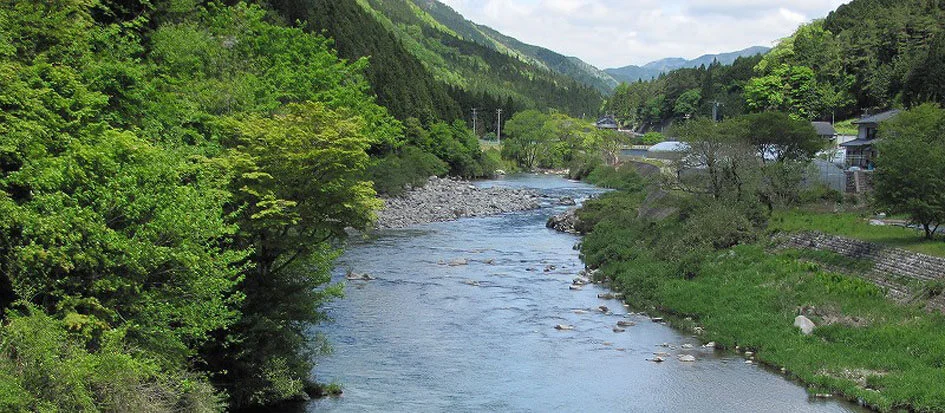 トップメイン画像2