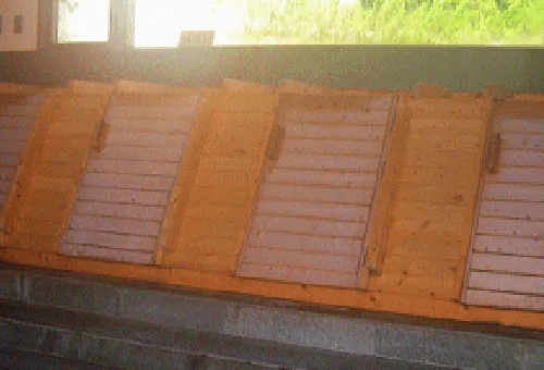 フォトアルバム7