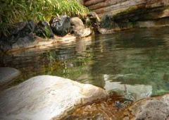 Shinbo Kogen Onsen Ryokan Yakedake no Sato - Gifu