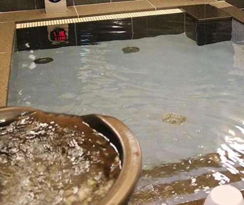 フォトアルバム13