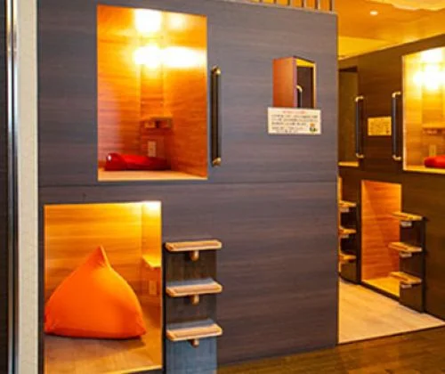 フォトアルバム20