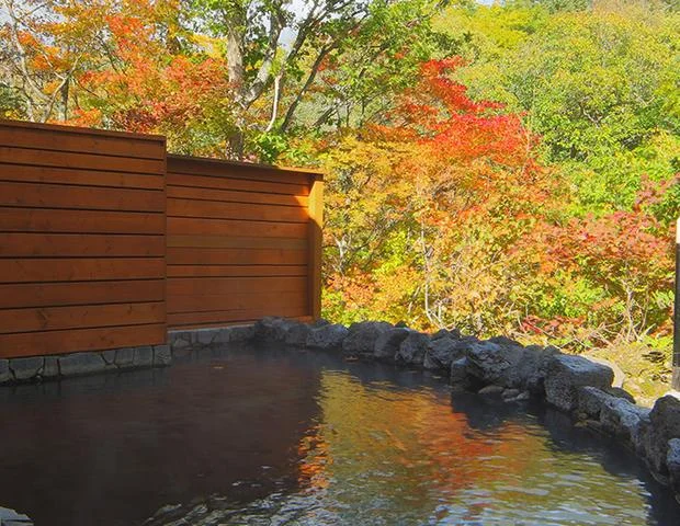 糠平舘観光ホテル