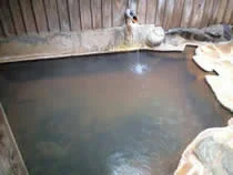ひゅって森の仲間