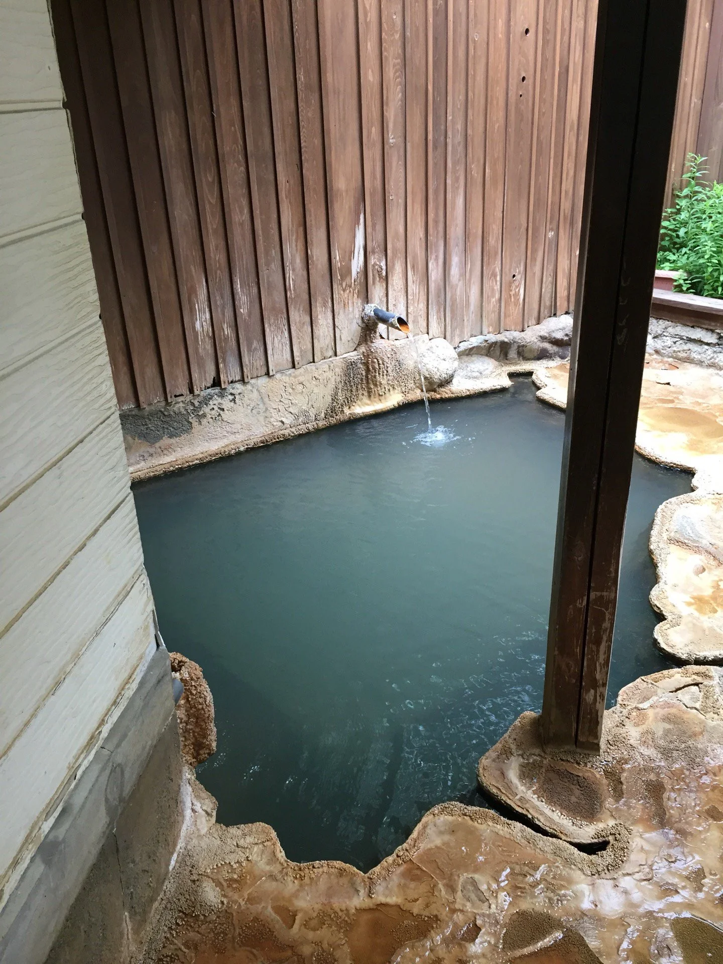 ひゅって森の仲間