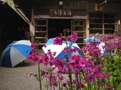 渡合温泉　ランプの宿