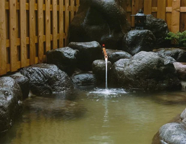 平湯温泉 平田館
