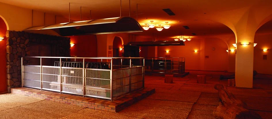 トップメイン画像3