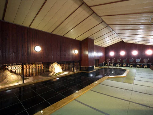 Hida Takayama Onsen Hida Hotel Plaza - Gifu