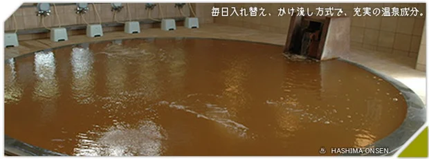 羽島市老人福祉センター羽島温泉