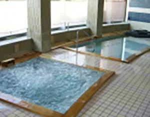 白石温泉　薬師の湯