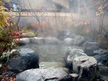 藤助の湯 ふじや