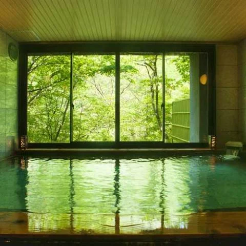 Okuhida Onsen Village Shiki no Ajawi Nakao Highland Hotel - Gifu