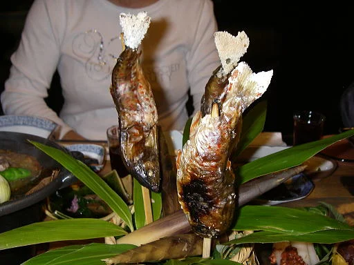 水明館 佳留萱山荘（休業中）