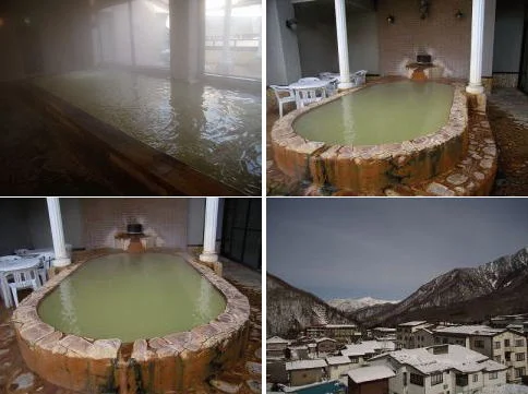 アルプス街道平湯(足湯)(休止中)