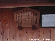 鷺の足湯