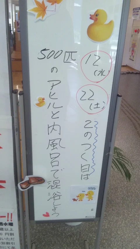 いび川温泉 藤橋の湯