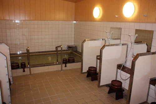 Takayama Onsen Hida no Sato Ryokan Murayama - Gifu