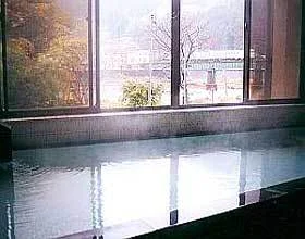 Gero Onsen Ryokan Hikikin - Gifu