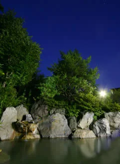 静岳館 - 奥飛騨温泉郷 - 岐阜県