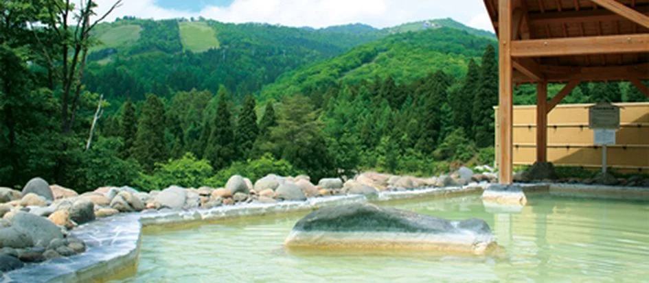 トップメイン画像1