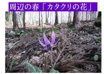 流葉温泉 ニュートリノ