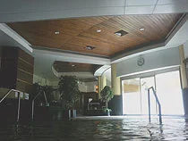 天然温泉 遊楽乃湯(閉館しました)