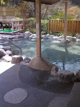 香肌峡温泉 いいたかの湯(かはだきょうおんせん)