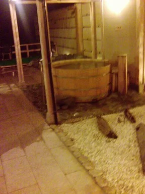 香肌峡温泉 いいたかの湯(かはだきょうおんせん)