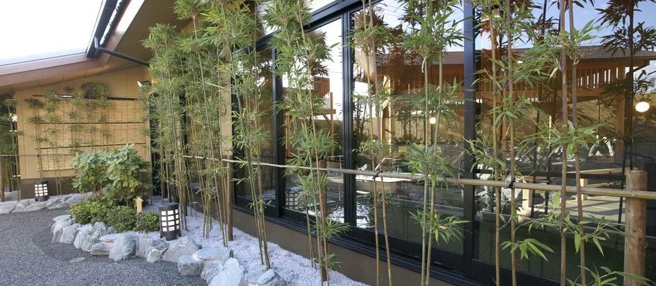 トップメイン画像5