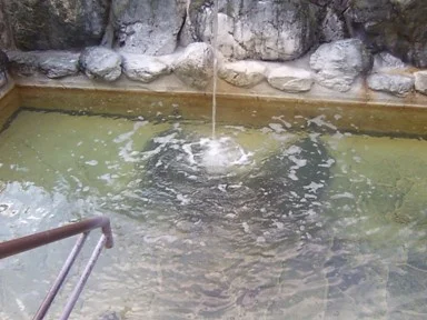 奥伊勢フォレストピア 宮川山荘