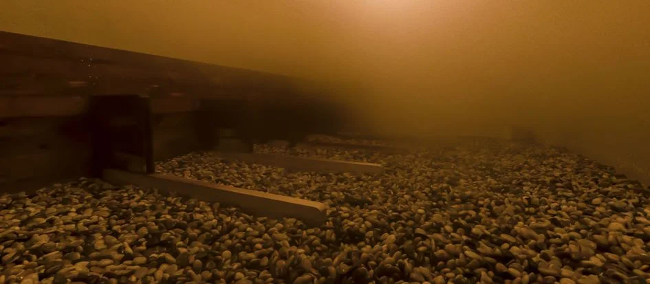 トップメイン画像4