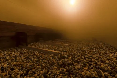 フォトアルバム5