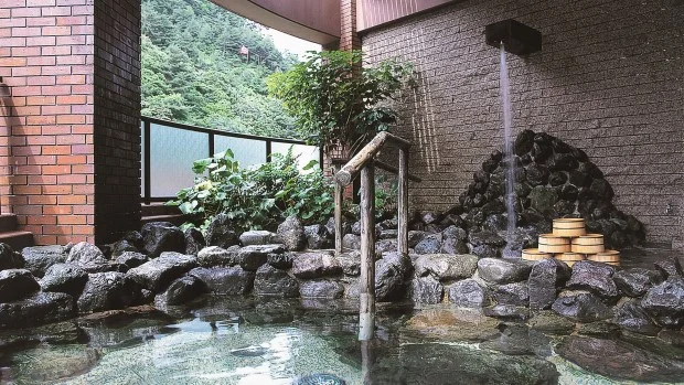 オテル・ド・マロニエ湯の山温泉