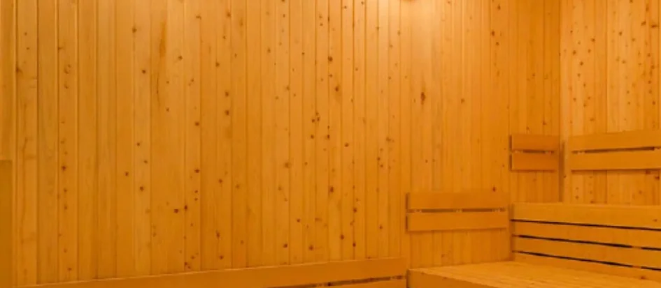 トップメイン画像2