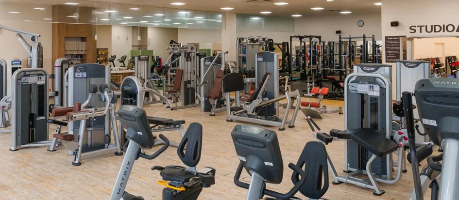 トップメイン画像5