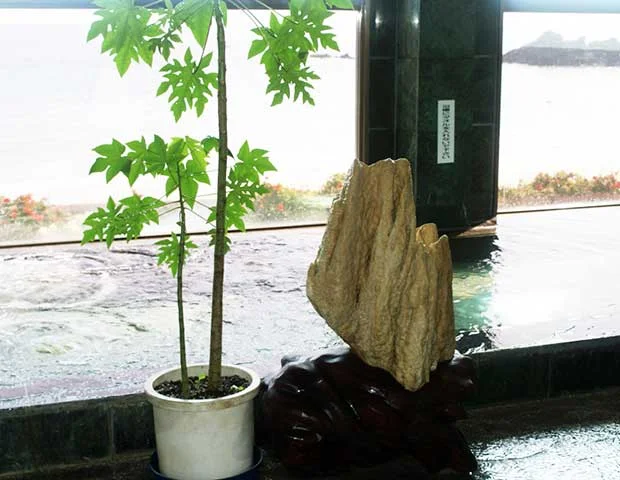 シャカ白亜紀の湯(閉館しました)