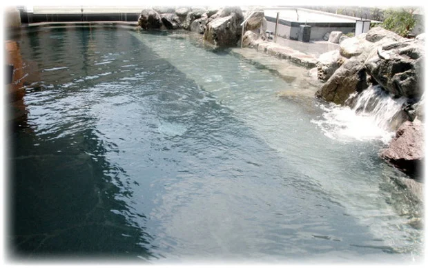 癒しの里 伊賀の湯（閉館しました）