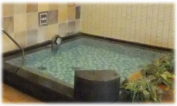 癒しの里 伊賀の湯（閉館しました）